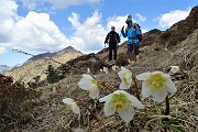 Monte Cancervo ad anello dalla Pianca sui sentieri CAI 102-130-131 il 1 maggio 2019 - FOTOGALLERY